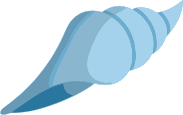 Illustration of Seashell